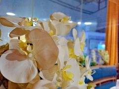 -沪小胖小龙虾(淮海中路旗舰店)
