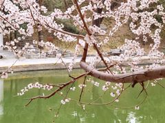 -团结湖公园