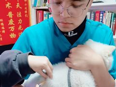 -西安京西宠物医院·瘫痪·疑难杂症