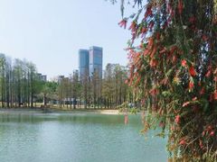 -四海公园(南山区)