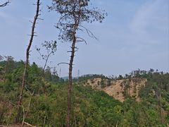 -青龙山国家森林公园