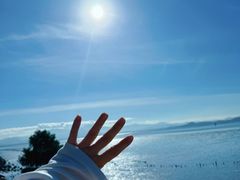 -深圳湾公园(南山区)