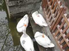 -苏州碑刻博物馆
