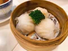 虾饺皇-禄興記香港大排档(歌斐中心店)