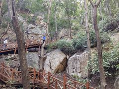 -大岭沟猕猴桃谷风景区