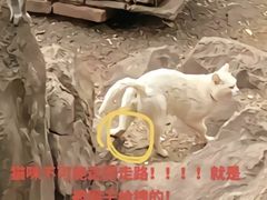 -昆明动物园