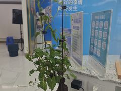 -美可普口腔医院(宝龙标杆店)