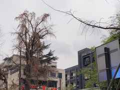 -奎星楼街