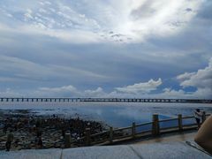 -宝安西湾红树林湿地公园