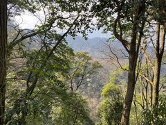 -青城山