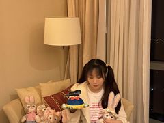 -上海浦东康桥绿地假日酒店