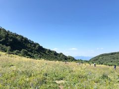 -白草畔自然风景区