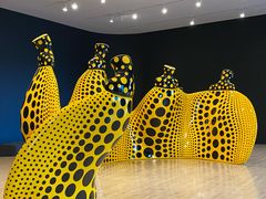 -旧金山现代艺术博物馆