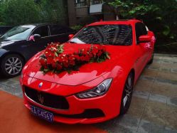 -蚂蚁婚车