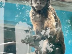 -秦皇岛野生动物园
