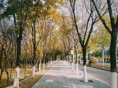 -鼓楼(兴庆区)