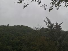 -牛背梁国家森林公园