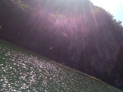 -华龙特色大骨鸡农家菜馆