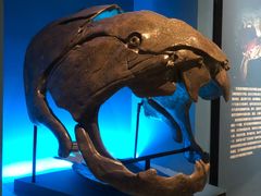 -湖南省地质博物馆