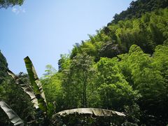 -赤水丹霞旅游区·佛光岩