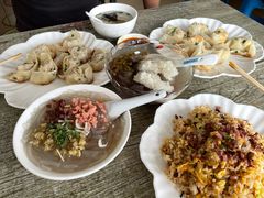 蛋黄鲜肉煎馄饨-乌镇姐妹特色小吃(银杏公寓店)