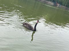 -南翠屏公园