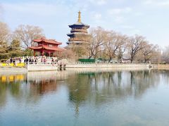 -百脉泉景区