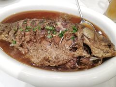 红烧黄河大鲤鱼-金狮麟·新豫菜(金码大厦店)