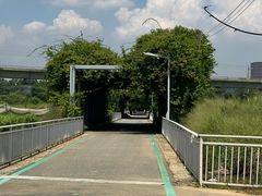 -光明小镇欢乐田园