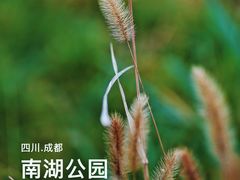 -成都南湖公园