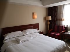 -维也纳国际酒店·西安大雁塔大唐不夜城店