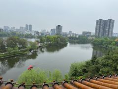 -沙市市中山公园
