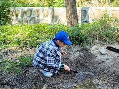 -大岭沟猕猴桃谷风景区