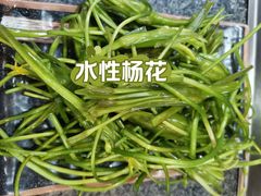 -滇藏石锅宴(崇仁巷老店)