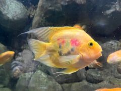 -苏州海洋馆