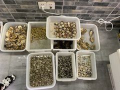 -阿杰臻选海鲜饭店(普陀山店)