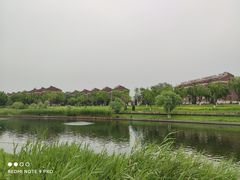-西海子公园