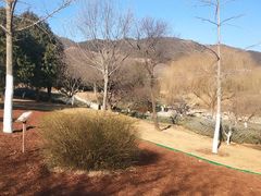 -北京西山国家森林公园