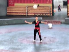 -石家庄市动物园