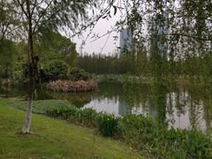 -艾溪湖湿地公园