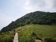 -白草畔自然风景区