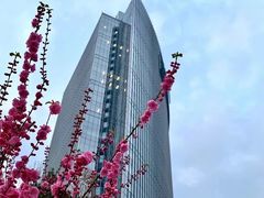 -西门子中国有限公司(阜通东大街店)