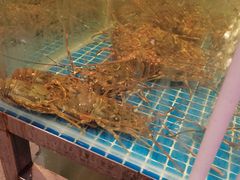 -华威西营里农产品批发市场