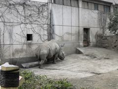 -成都动物园