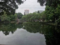 -晓港公园