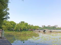 -济南大明湖景区