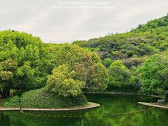 -柯岩风景区