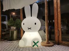 -野草莓自由市场