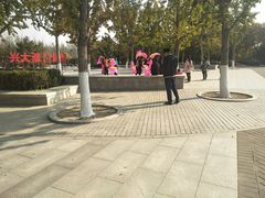 -大兴滨河森林公园