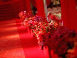 -保定金沙芝柏婚礼策划